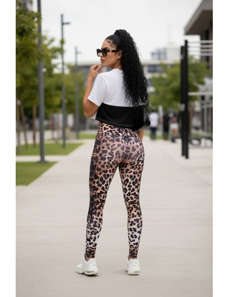 Conjunto Leggin Camiseta - CL316